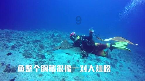 夏日时尚的爱丽
